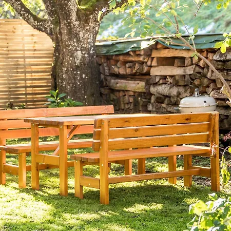 Spielberg 피버브룬